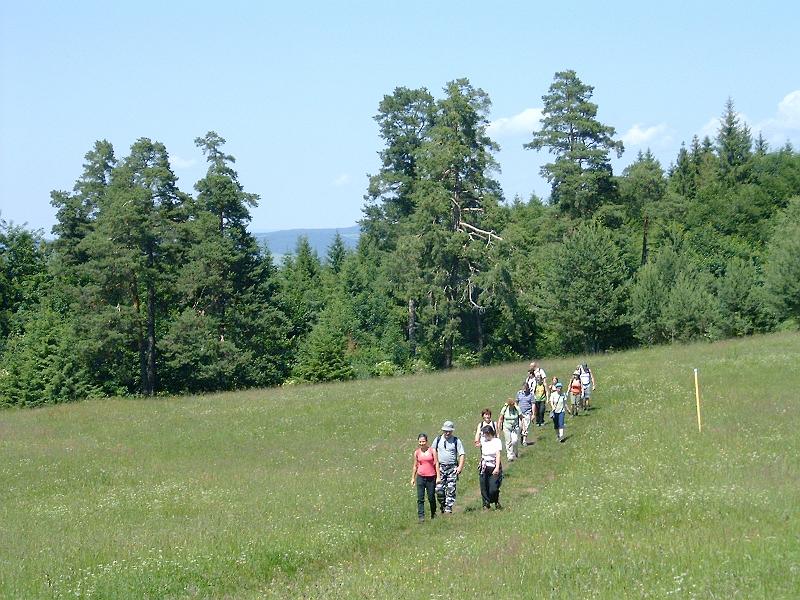 20120616 046.jpg